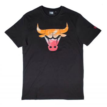 Camiseta manga corta Chicago Bulls 