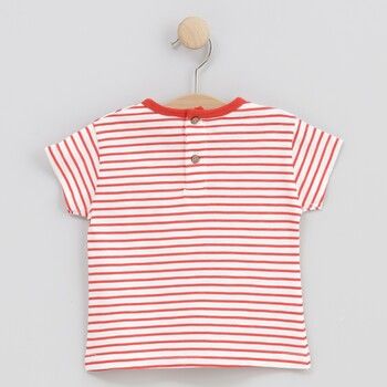 cotton fish Tops y Camisetas 90682 para niño