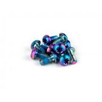 sram kit tornillos disco rainbow 12 uds