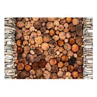 papel pintado 3d - wooden gate 250x175 cm