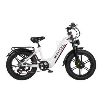Bicicleta Eléctrica De Doble Motor Nathaniel Syr08, 20