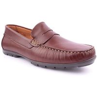 pelflex mocasines m mocassin man para hombre