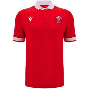 Wales Ru Polo 2024 para hombre