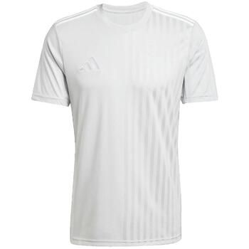 adidas Camiseta T-shirt Campeon 25 gris para hombre