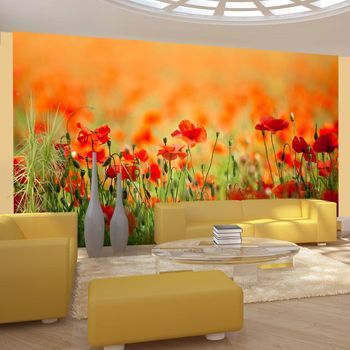 Fotomural - Amapolas En Un Día Cálido