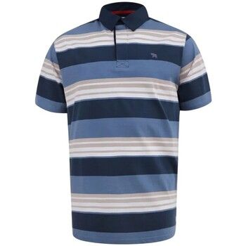 Duke Polo Willis D555 para hombre