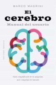 el cerebro