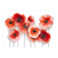 papel pintado 3d - nine poppies 250x175 cm