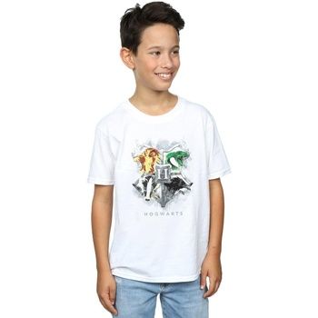 Harry Potter Tops y Camisetas Hogwarts para niño