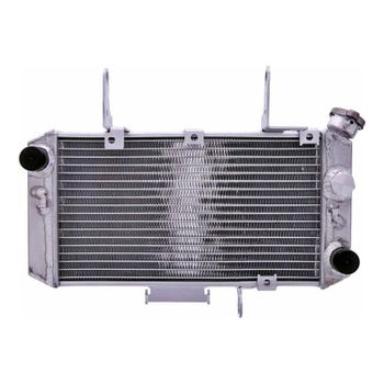 Refrigerador motor Suzuki DL 650 V- Strom -'11 agua