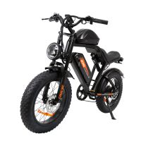 eu direct jking fxh-002 bicicleta electrica profesional 48v 203ah2 doble bateria motor de 1000w velocidad maxima rec