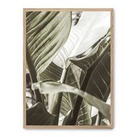 cuadro details of banana leaves ii
