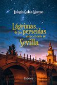 (i.b.d.) lágrimas de las perseidas sobre el cielo de sevilla