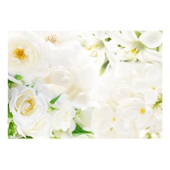 Papel Pintado 3d - Suspiro Blanco (150x105 Cm)