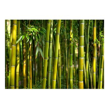 Papel Pintado 3d - Oriental Garden (300x210 Cm)