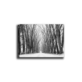 Pintura Decorativa Lienzo Canvas Tablo-22 Multicolor 70x100 Cm