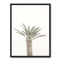cuadro palm desert