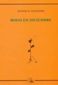 rosas en diciembre