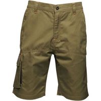 regatta short heroic para hombre