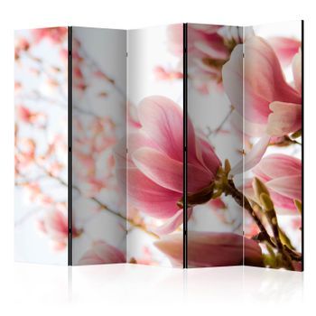 Biombo - Pink Magnolia Ii (225x172 Cm)