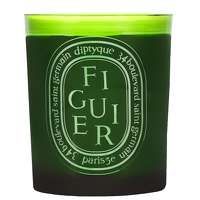 Diptyque Figuier Vert Scented Candle 300g