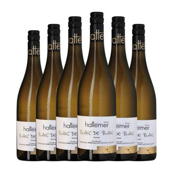 Klaus Hattemer Vino Blanco Blanc De Blanc Weißweincuvée Seco Rheinhessen 75 Cl 13% Vol. (pack De 6 Unidades)