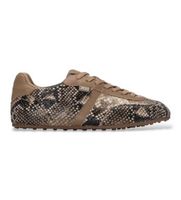 xti para mujer 14615304-serpiente zapatillas 146153 taupe 36 plano cordones casual animal print