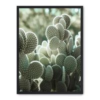 cuadro cactus i