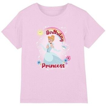 Cinderella Tops y Camisetas Birthday Princess para niña