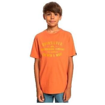 Quiksilver Camiseta T-shirt Qssurflockup orange para niña