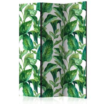 Biombo - Tropical Paradise (135x172 Cm)