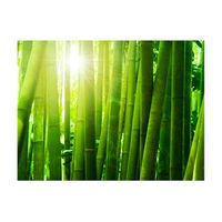 papel pintado 3d - sol y bambu 350x270 cm