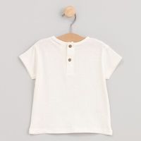 cotton fish camiseta 90716-child para nino