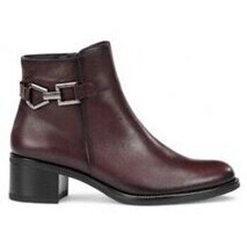 Dorking Botines botin con aplique caña linea chiara para mujer