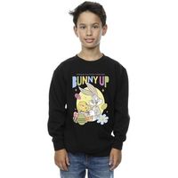 dessins animes jersey bunny up para nino