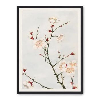 Cuadro Blossoming Beauty