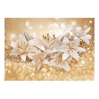 papel pintado 3d - royal entourage 400x280 cm