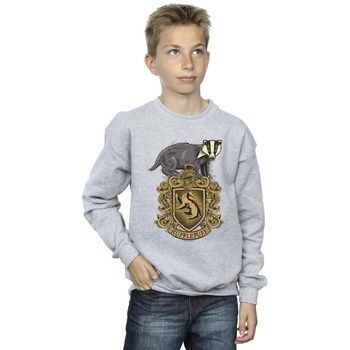 Harry Potter Jersey Hufflepuff para niño