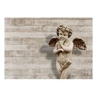 papel pintado 3d - angelic face 400x280 cm