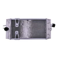 refrigerador motor triumph bonneville 17- agua