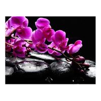 papel pintado 3d - momentos relajantes orquidea y piedras zen 250x193 cm