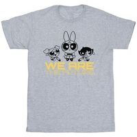 dessins animes camiseta bi34176 para nina
