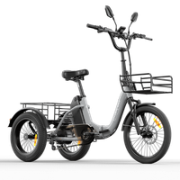 triciclo electrico plegable cysum ag1 pro de 20 pulgadas con bateria de 48 v 20 ah