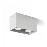 plafon de techo agate 2 luces