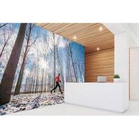 fotomural vinilo running campo nevado 350 x 250 cm