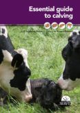 Essential guide to calving