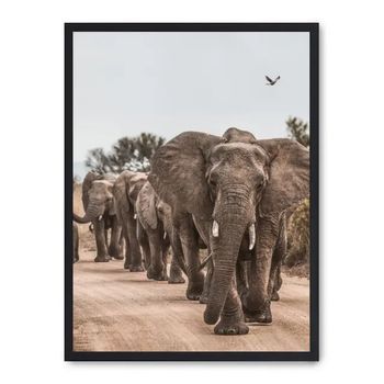 Cuadro Elephant Herd Ii