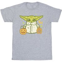 disney camiseta trick or treat para nino