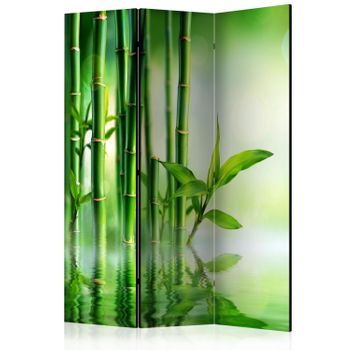 Biombo - Bamboo Grove (135x172 Cm)