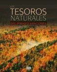 los tesoros del pirineo aragones